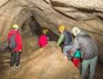 Agriturismo A Bologna Vicino Grotta Del Farneto