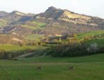 Agriturismo Bologna Vicino A Percorsi Trekking Appennino Bolognese