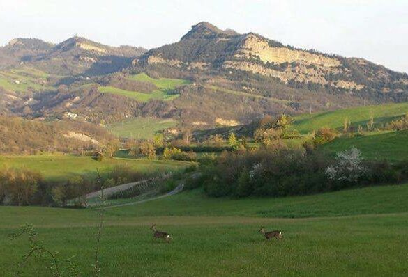 Agriturismo Bologna Vicino A Percorsi Trekking Appennino Bolognese