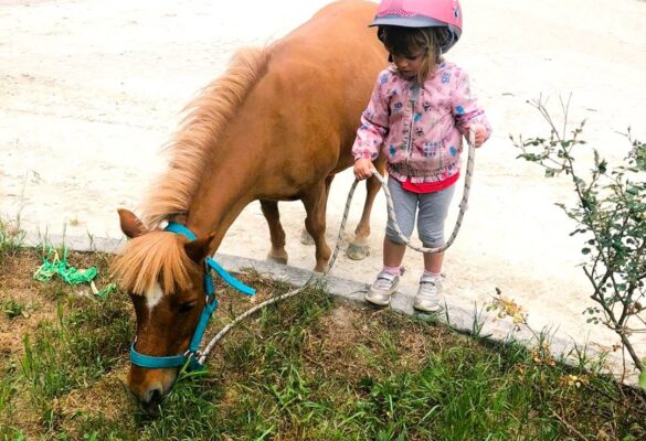 Pony Club Bologna Ca Del Rio