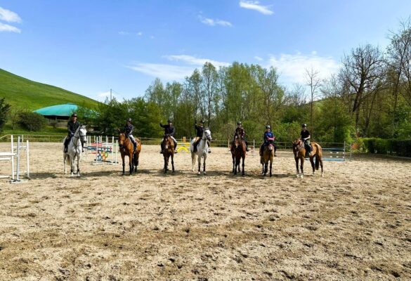 Lezioni Equitazione Bologna Ca Del Rio