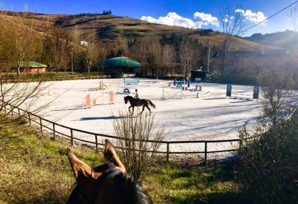 Agriturismo Cavalli Scuola Equitazione Bologna